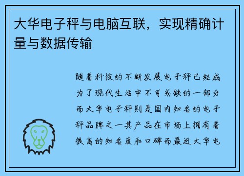 大华电子秤与电脑互联，实现精确计量与数据传输